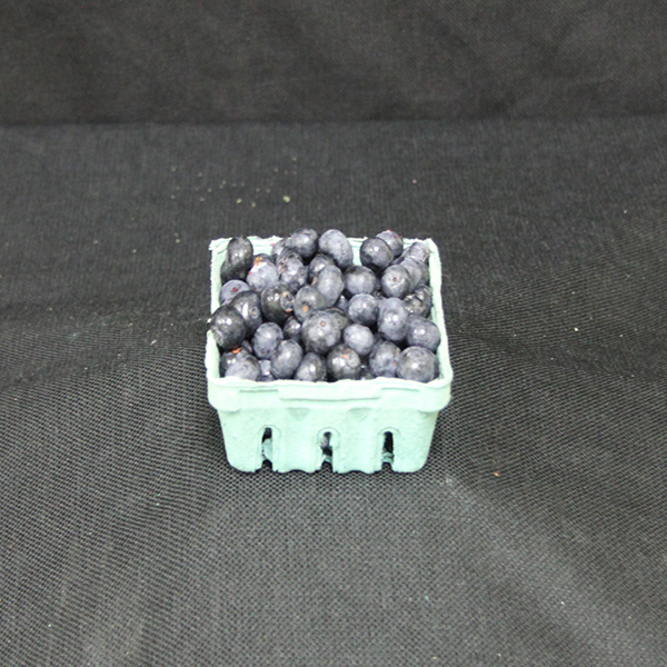 EcoPak 1/2 Pint Berry Basket