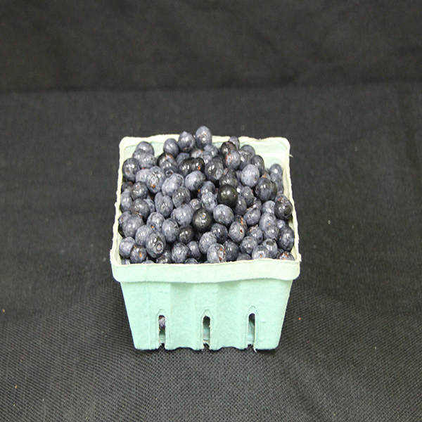 EcoPak 1/2 Pint Berry Basket